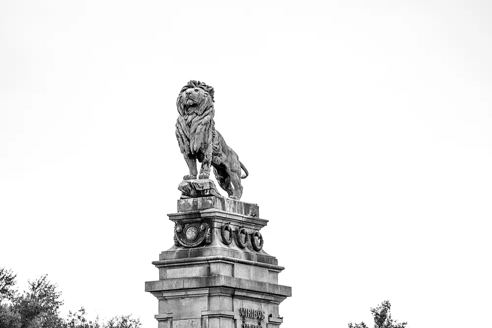 Black and white image of lion from the front, made of stone overviewing the entrance of the bridge crossing the intake of the Danube Canal in Vienna.