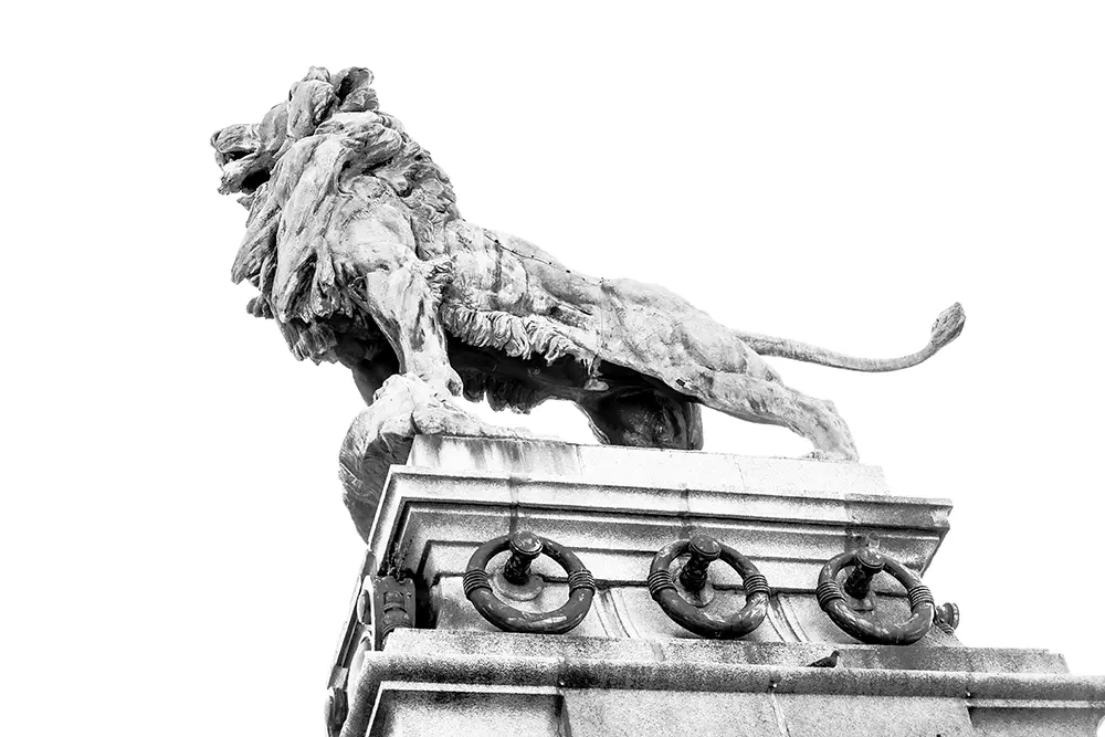 Black and white image of lion from below, made of stone overviewing the entrance of the bridge crossing the intake of the Danube Canal in Vienna.